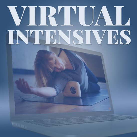 Virtual Intensives